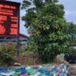 Pantauan Informasi Harga Komoditi Pala secara Real Time Per 1 Juli 2025. 