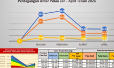 Retribusi Pala Tembus Rp248,4 Juta hingga April 2026, Harga Fuly Menguat, Fokus Perkuat Mutu