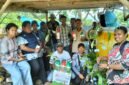 Dinas Perkebunan menyalurkan bibit pala Melalui program GERTAK didistribusikan langsung ke kebun milik kelompok tani.